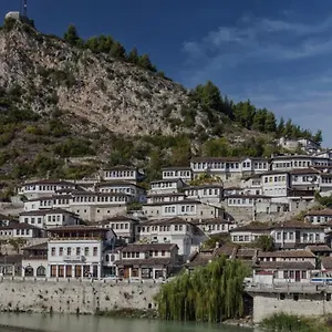 V. Doga Berat